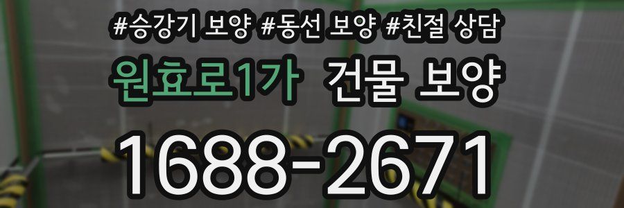 원효로1가 건물 보양