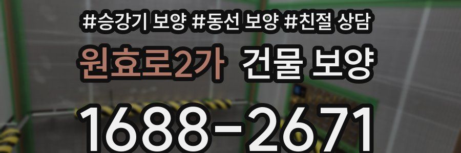 원효로2가 건물 보양