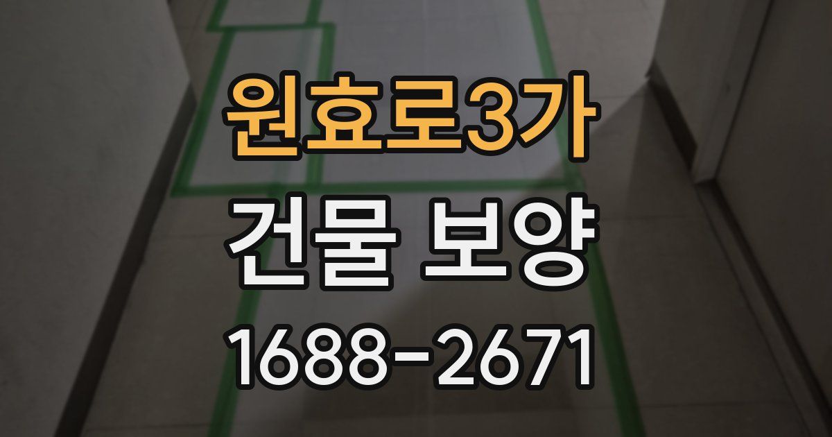 원효로3가 건물 보양