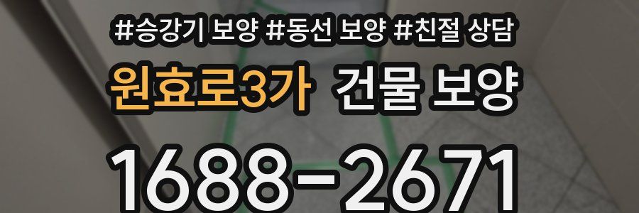 원효로3가 건물 보양