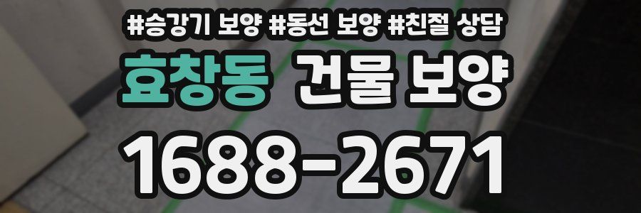 효창동 건물 보양