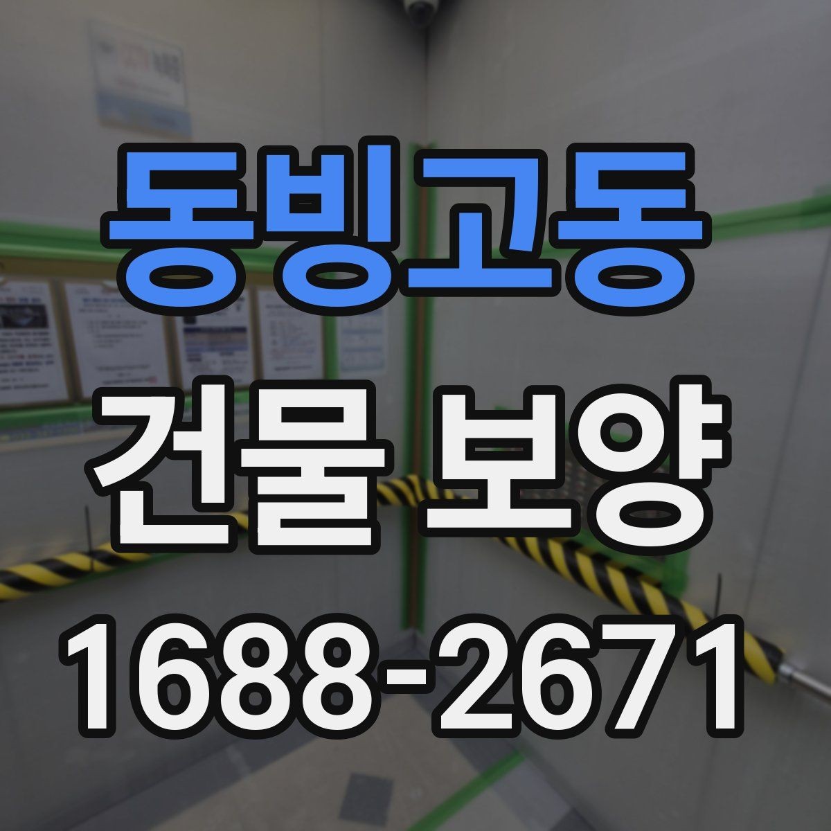 동빙고동 건물 보양 종류별 사용 용도와 차이
