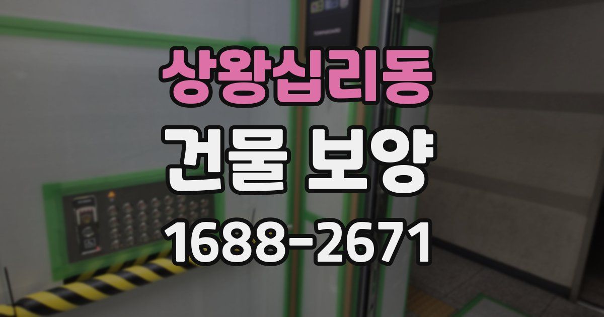 상왕십리동 건물 보양