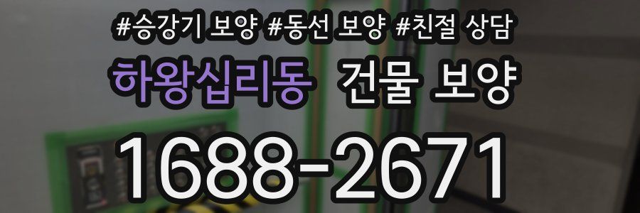 하왕십리동 건물 보양