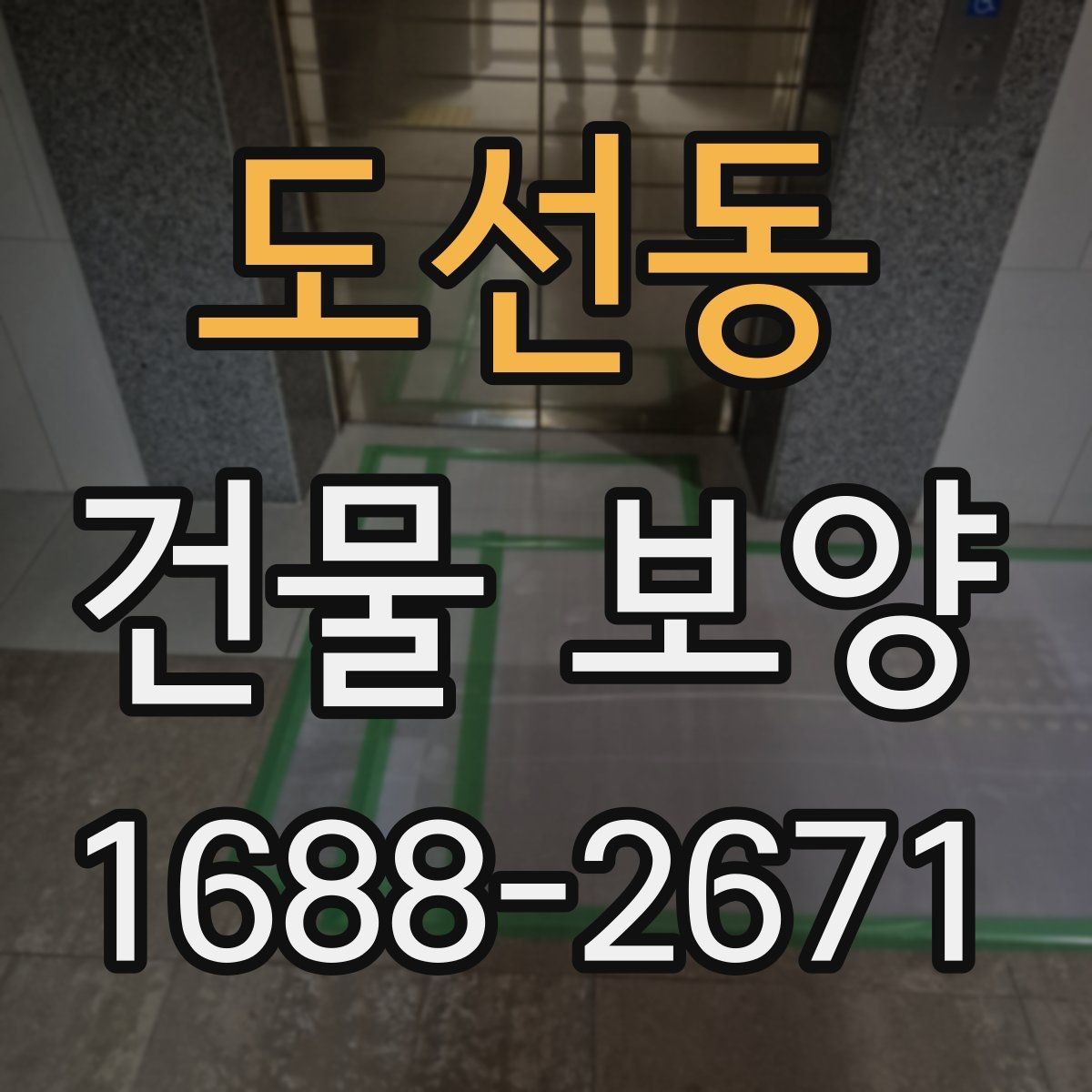 도선동 건물 보양 후 유지보수까지 고려한 계획