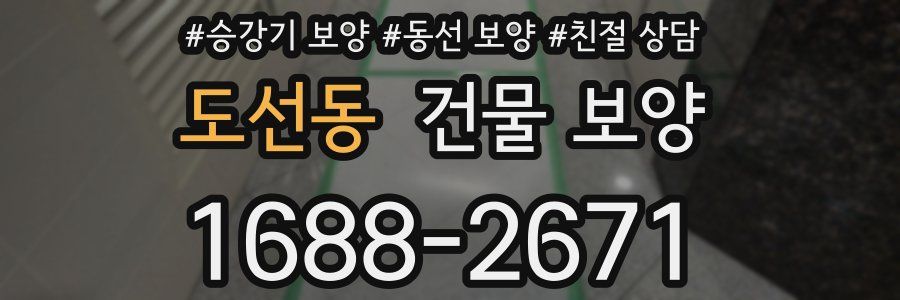 도선동 건물 보양