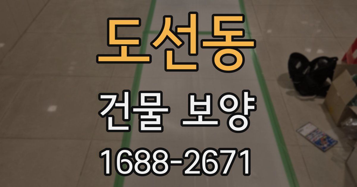 도선동 건물 보양