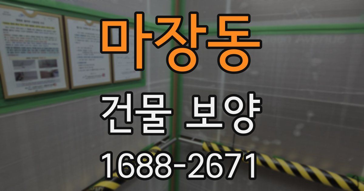 마장동 건물 보양