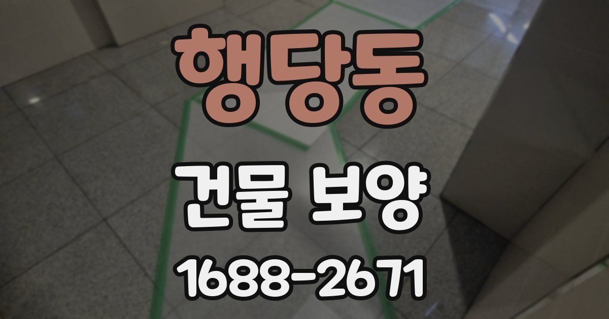 행당동 건물 보양