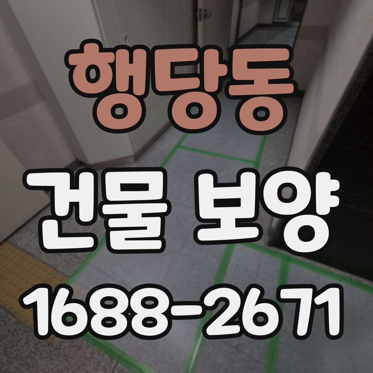 행당동 건물 보양