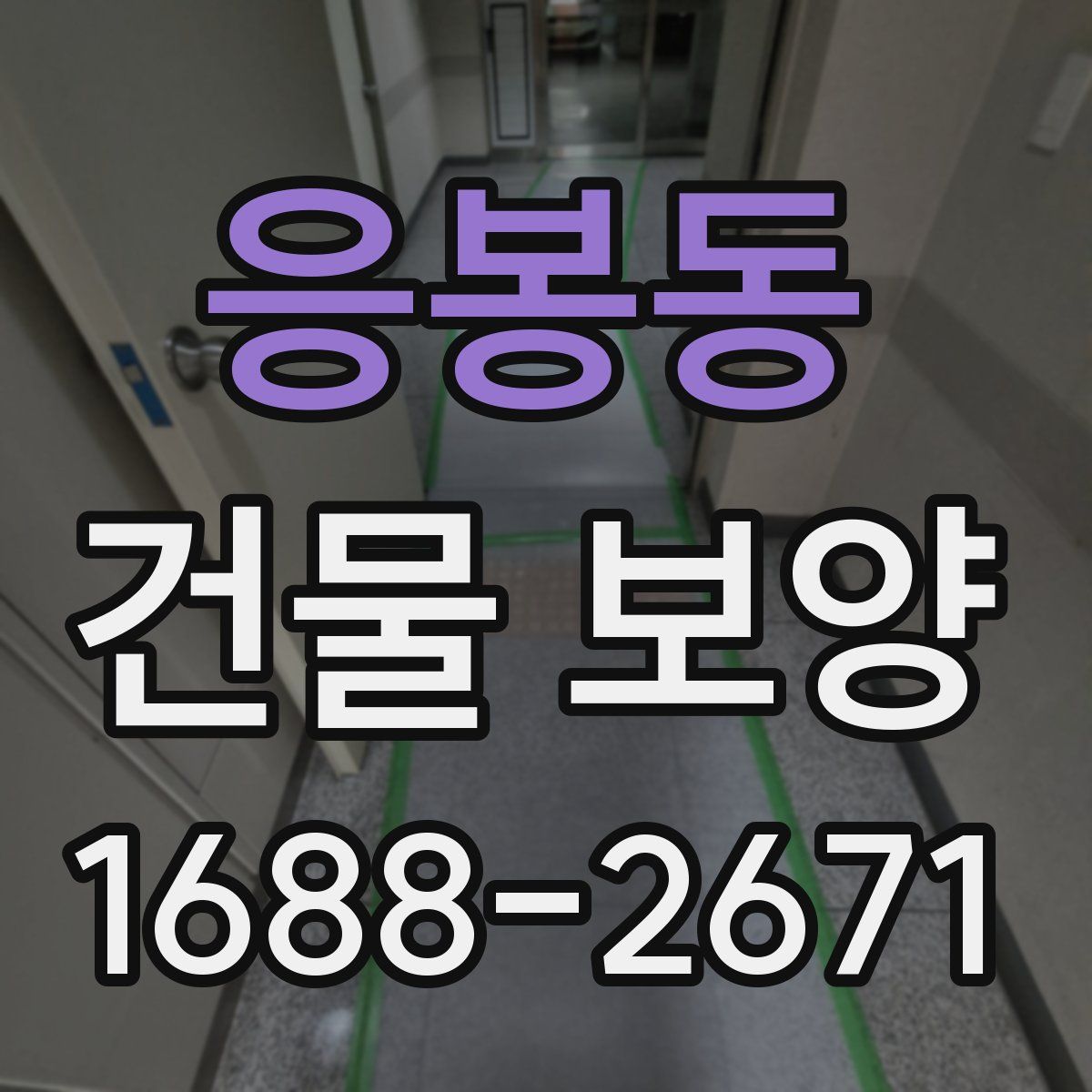 응봉동 건물 보양