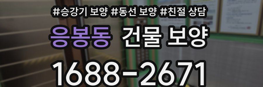 응봉동 건물 보양