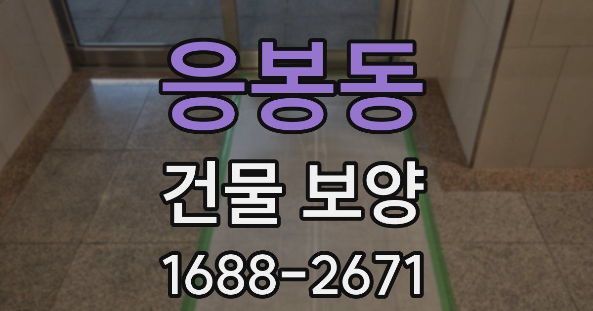 응봉동 건물 보양
