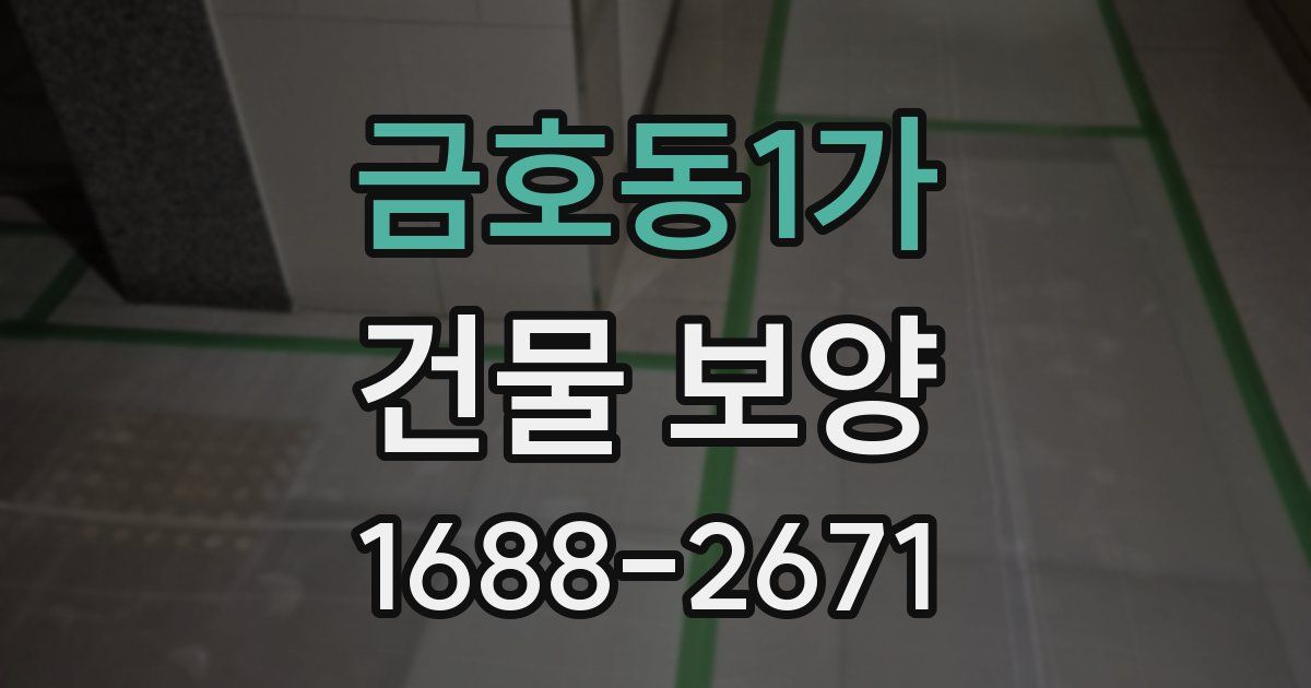 금호동1가 건물 보양