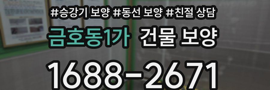 금호동1가 건물 보양