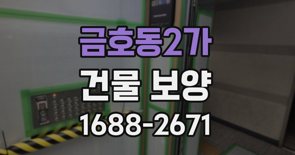 금호동2가 건물 보양