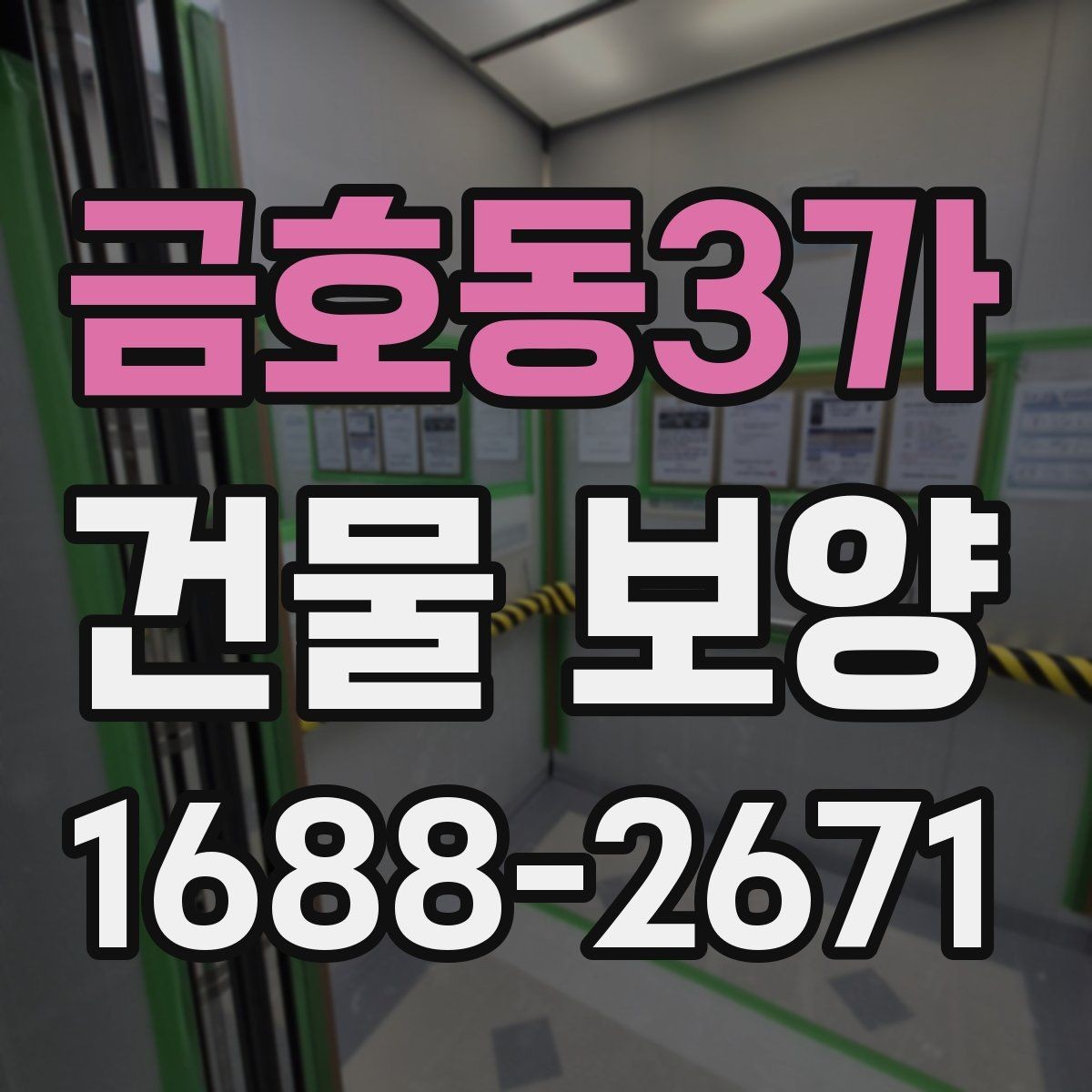 금호동3가 건물 보양 작업을 효율적으로 진행하는 방법