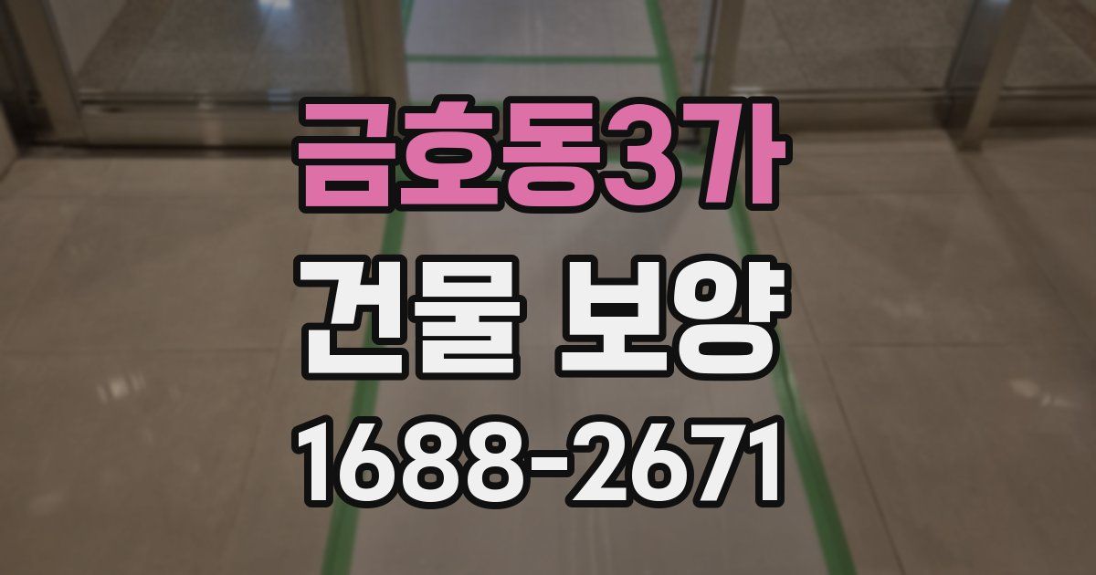 금호동3가 건물 보양