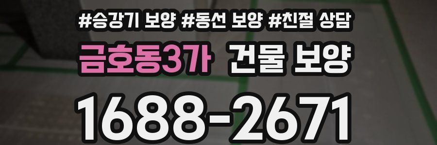 금호동3가 건물 보양
