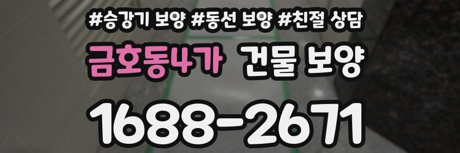 금호동4가 건물 보양