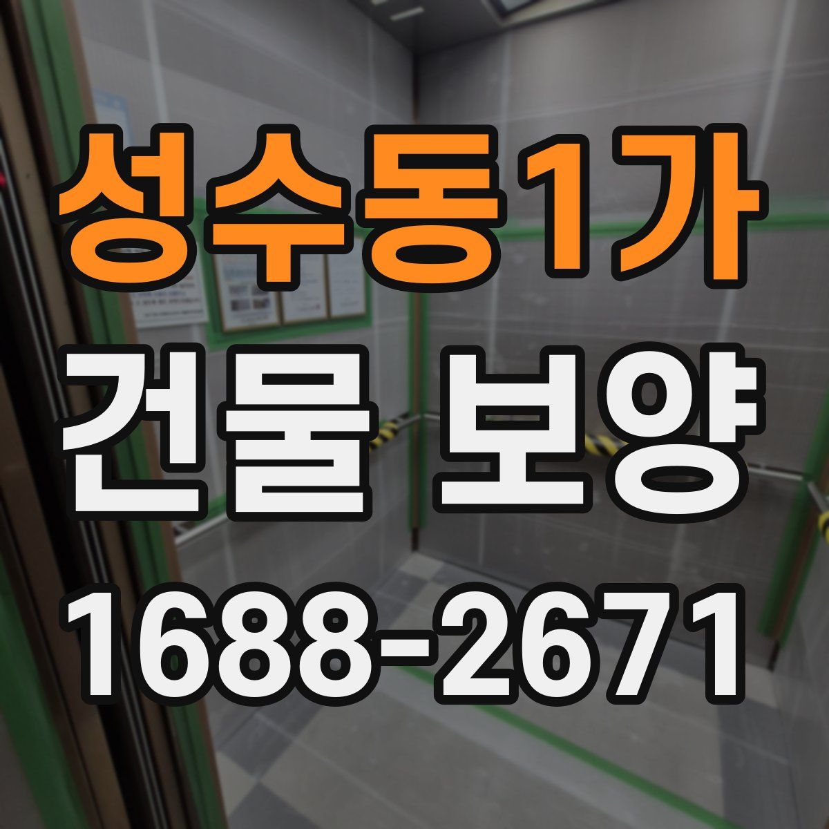 성수동1가 건물 보양
