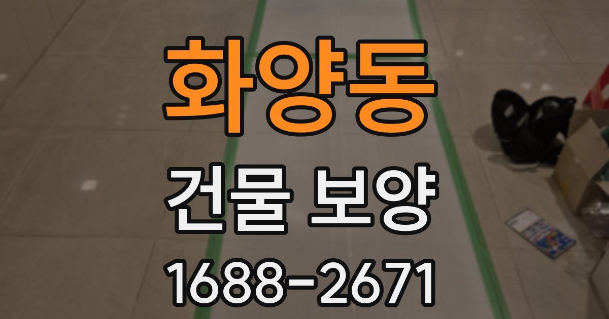 화양동 건물 보양