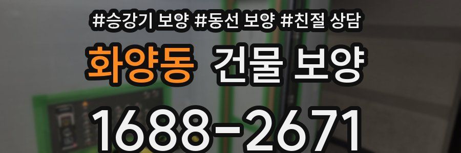화양동 건물 보양