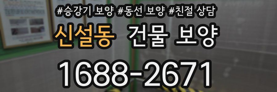 신설동 건물 보양