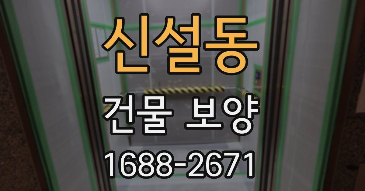 신설동 건물 보양