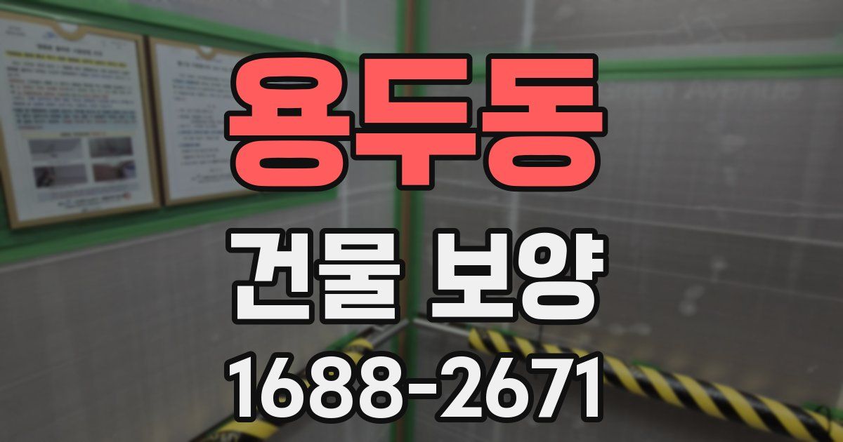 용두동 건물 보양