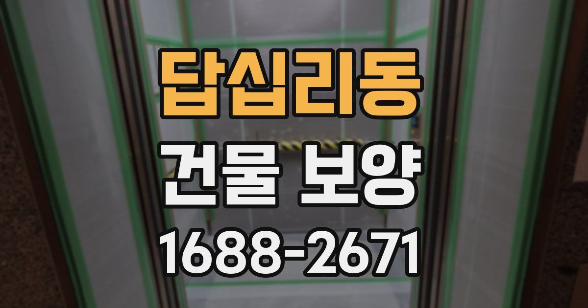 답십리동 건물 보양