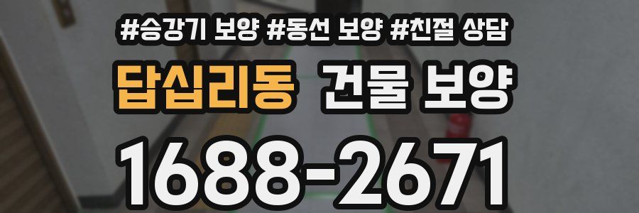 답십리동 건물 보양