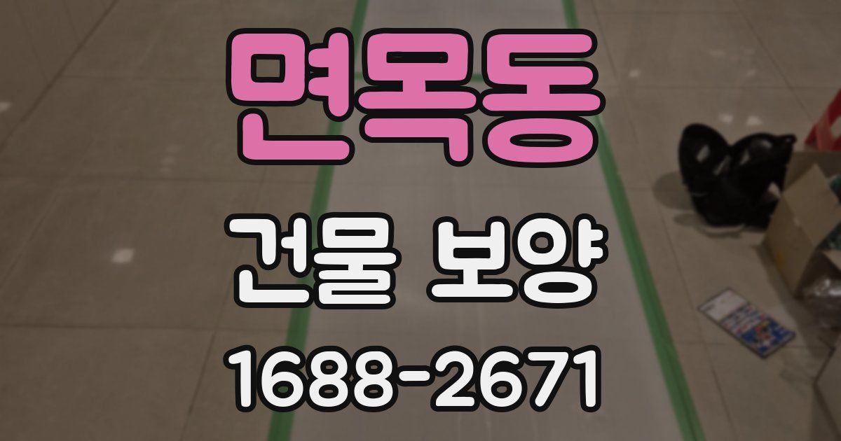 면목동 건물 보양
