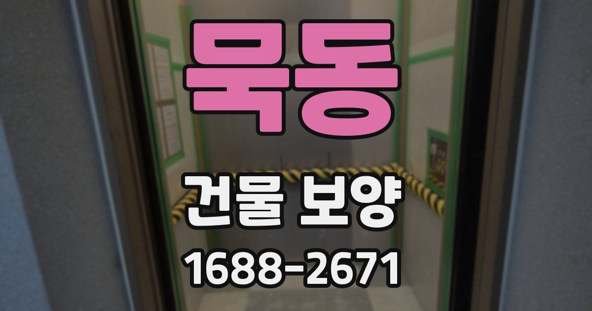 묵동 건물 보양