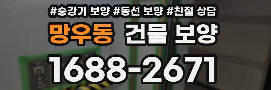 망우동 건물 보양