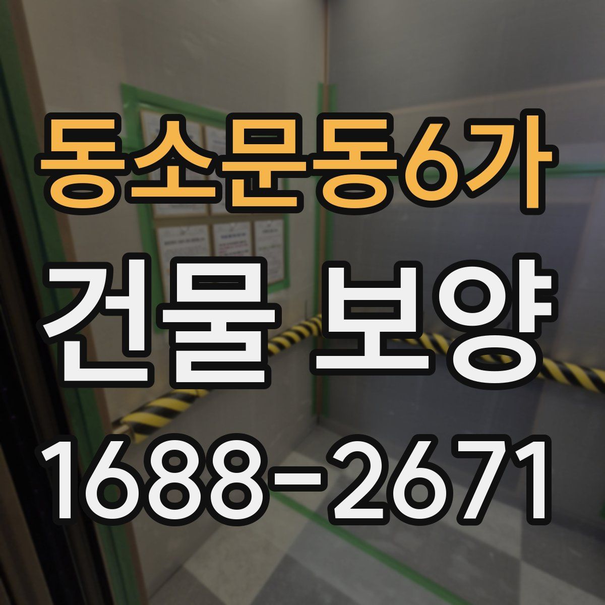 동소문동6가 건물 보양