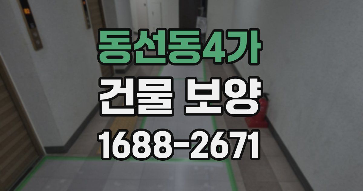 동선동4가 건물 보양