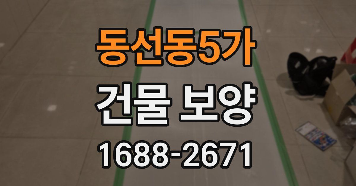 동선동5가 건물 보양