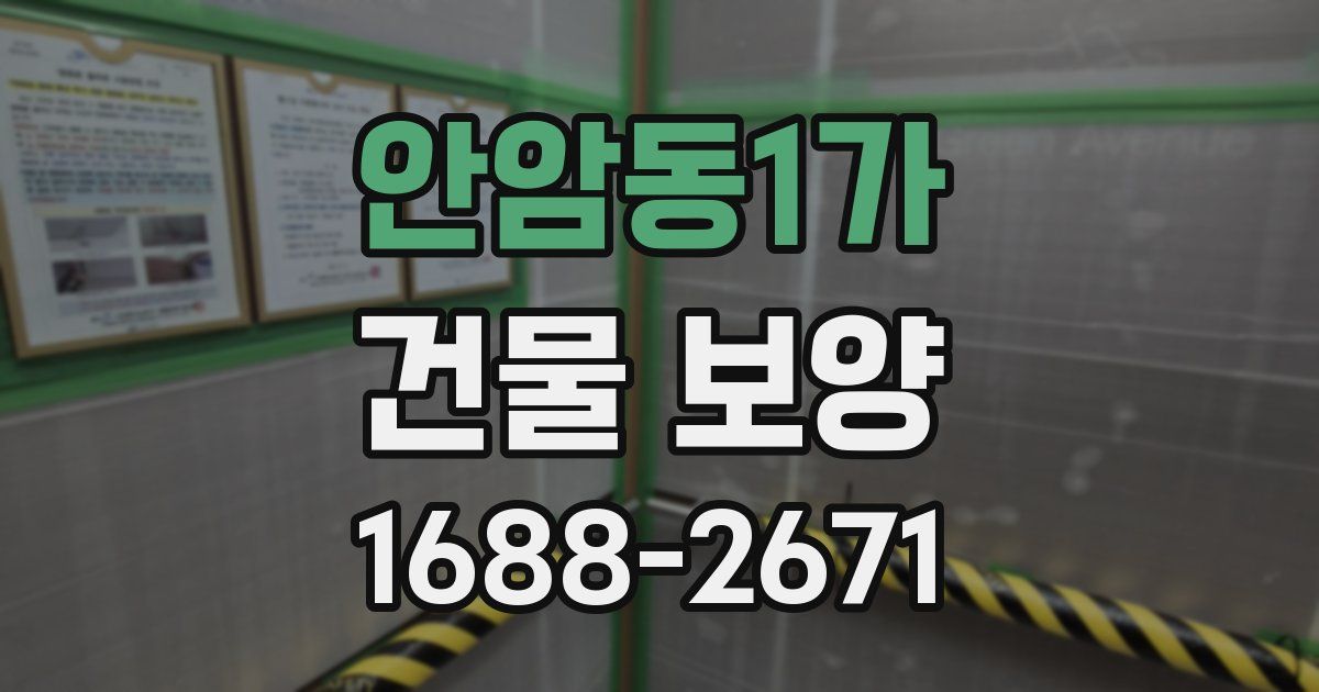 안암동1가 건물 보양