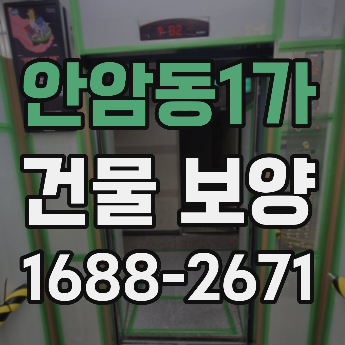 안암동1가 건물 보양