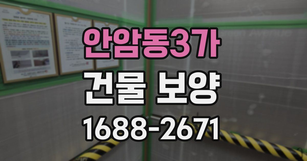 안암동3가 건물 보양