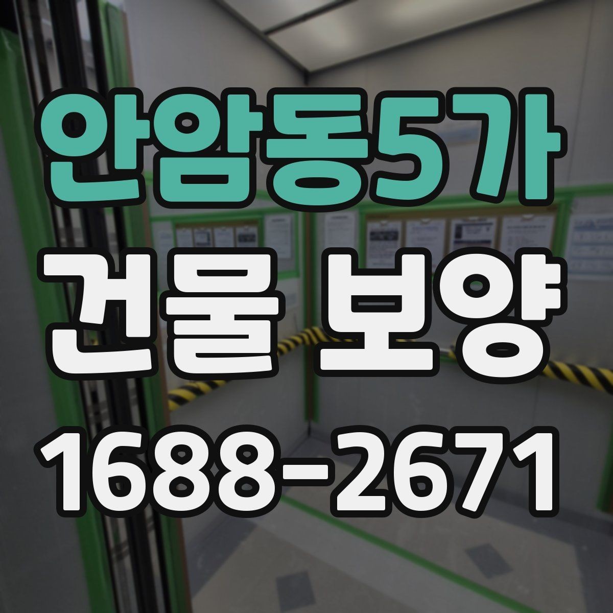 안암동5가 건물 보양 공정에서 빠지기 쉬운 확인 사항