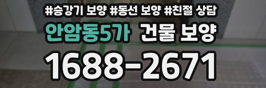 안암동5가 건물 보양