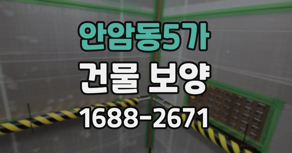 안암동5가 건물 보양