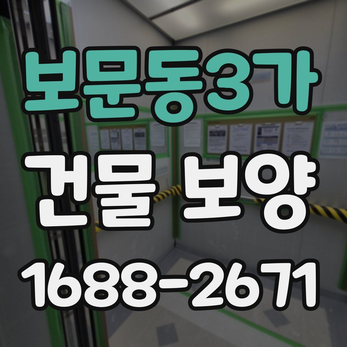 보문동3가 건물 보양