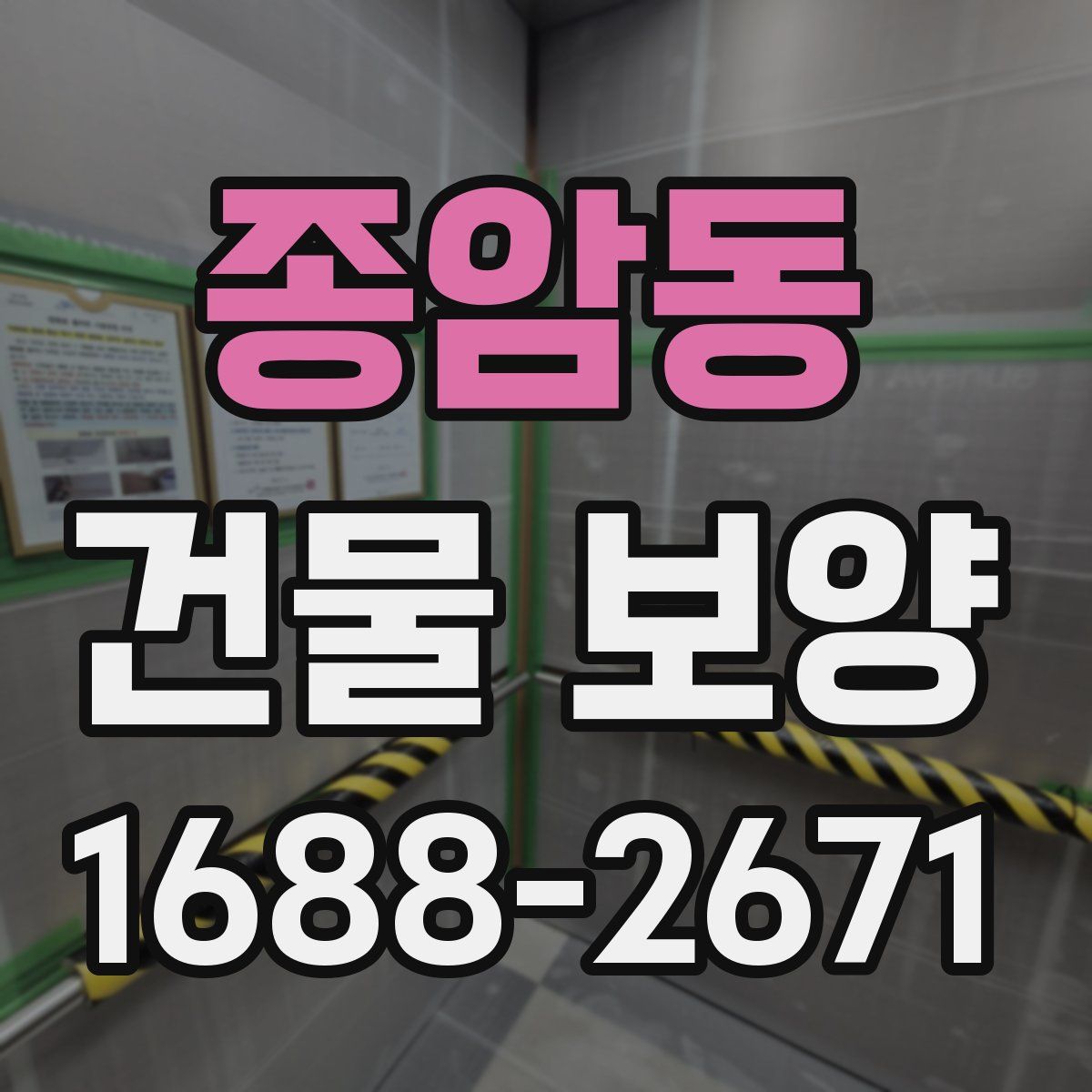 종암동 건물 보양