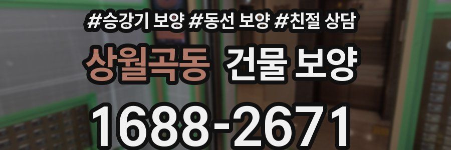 상월곡동 건물 보양