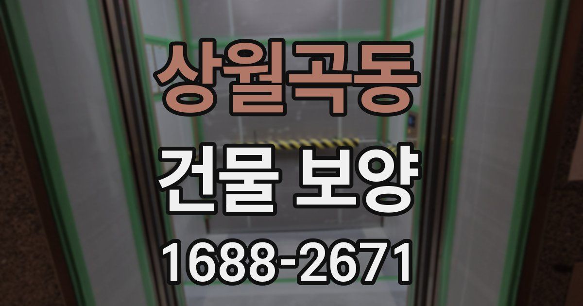 상월곡동 건물 보양