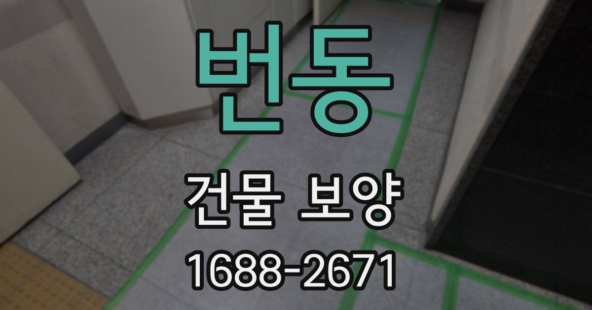 번동 건물 보양