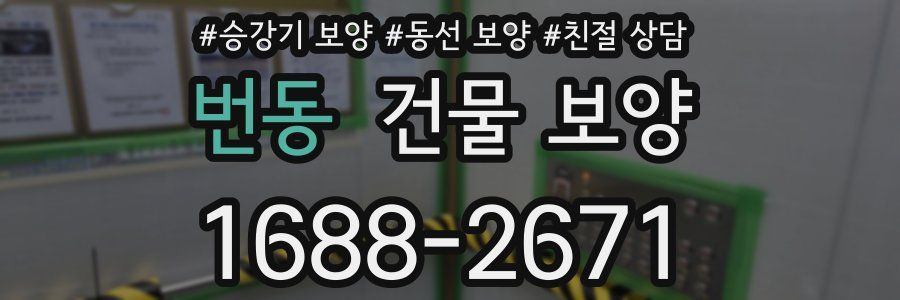 번동 건물 보양
